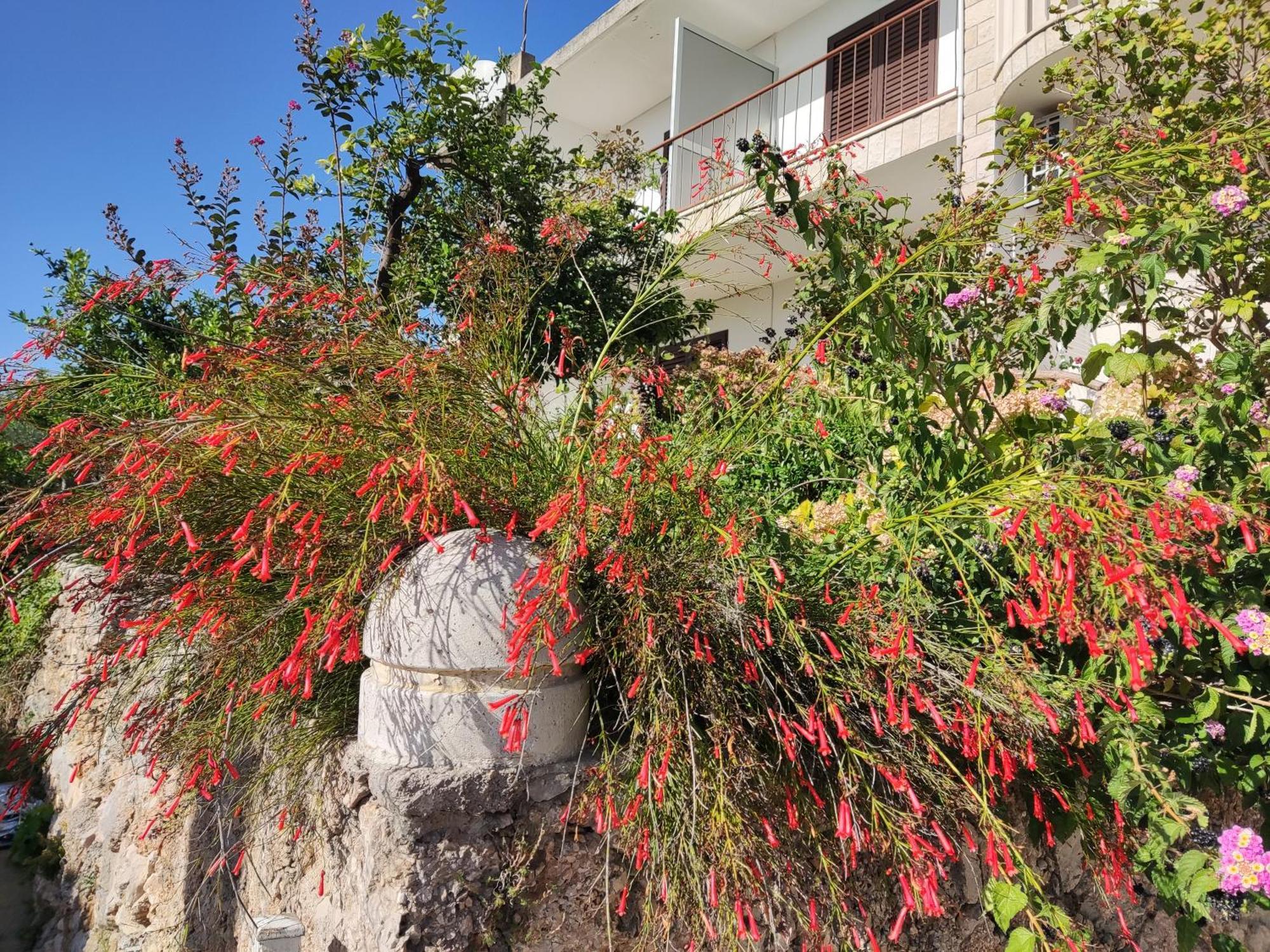 Apartments Mare Brela Exterior foto